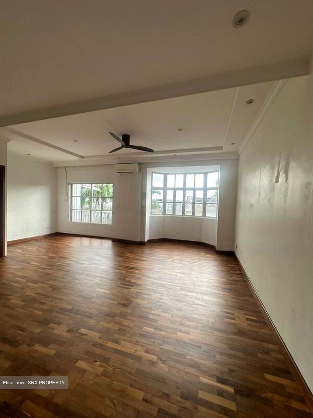 La Suisse (D11), Terrace #478654541